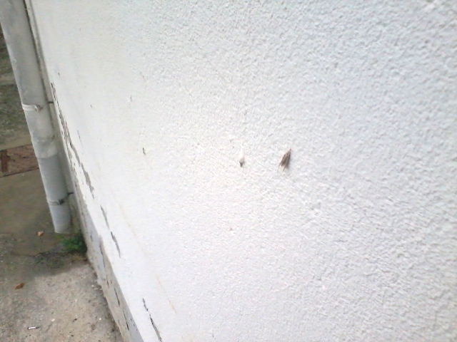 Alle falde del Pollino